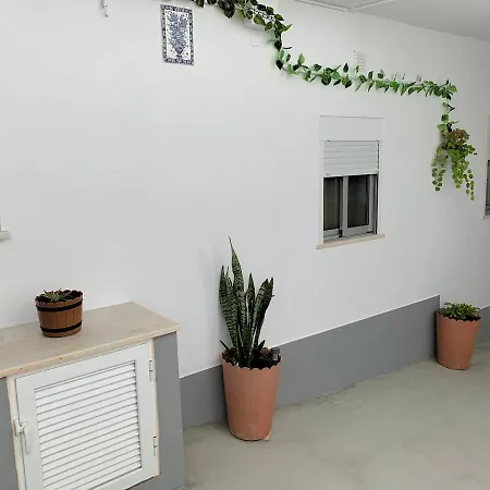 Duarte - Casa T1 - Com Vista Mar * Nazaré